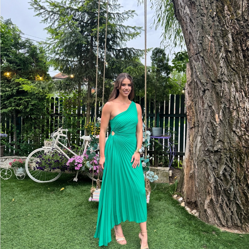 Nicole Miller Maxi dress